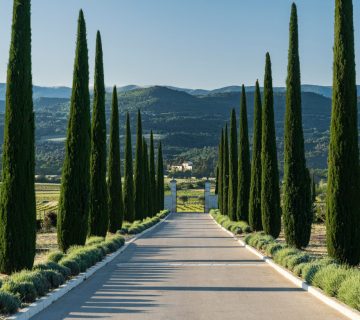 Investments that match your goals and comfort level.